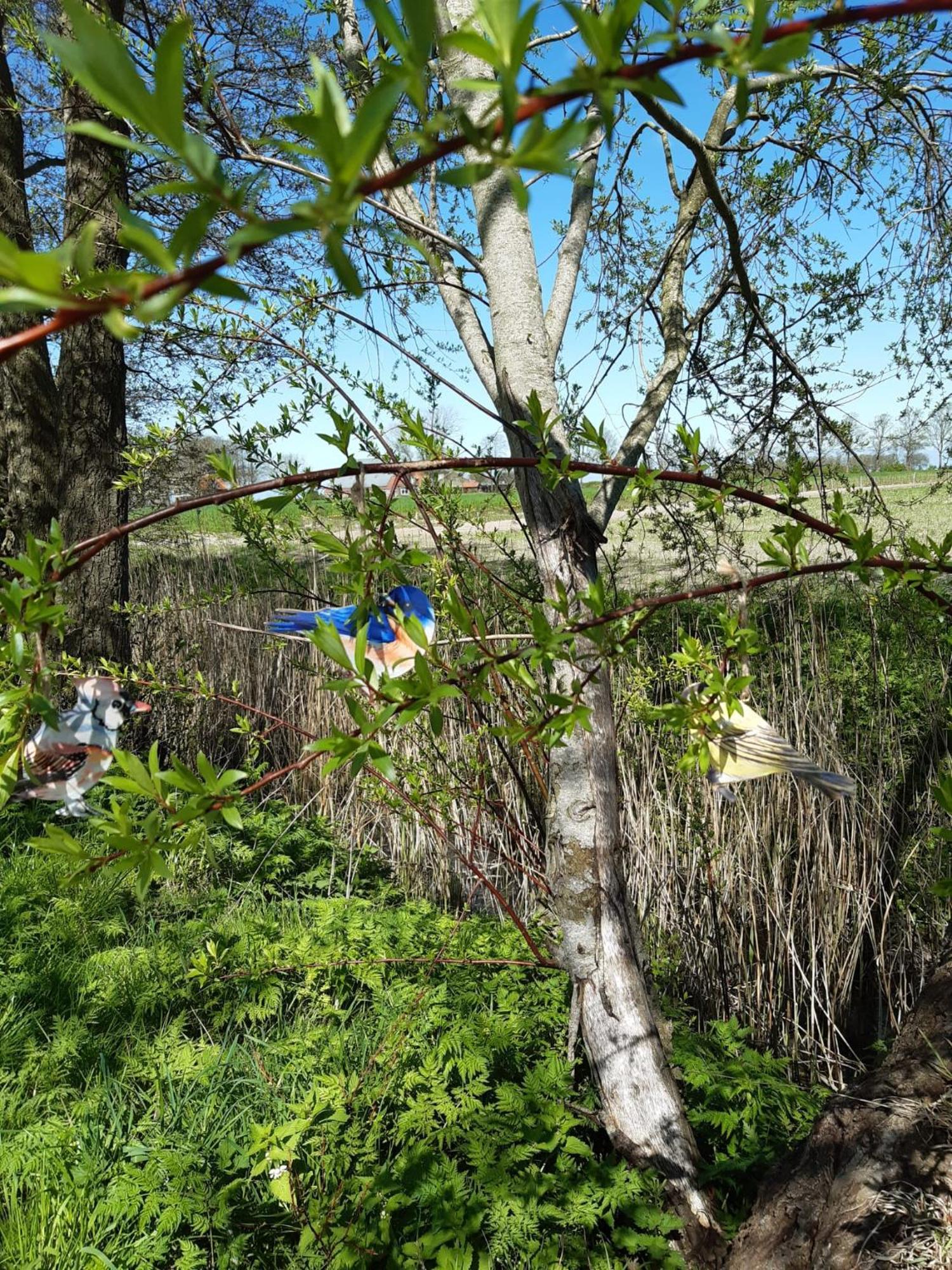 B&B Weidse Blik Ingelum Engelum Dış mekan fotoğraf